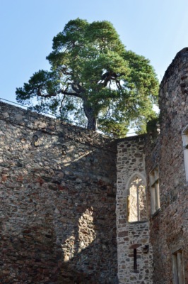 The best is yet to come