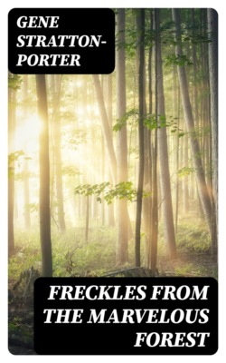Freckles from the Marvelous Forest