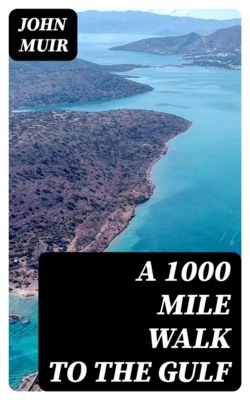 A 1000 Mile Walk to the Gulf