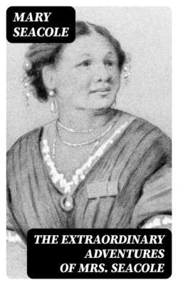 The Extraordinary Adventures of Mrs. Seacole