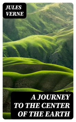 A Journey to the Center of the Earth
