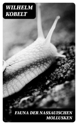 Fauna der Nassauischen Mollusken