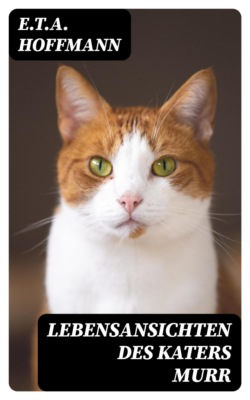 Lebensansichten des Katers Murr