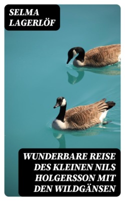 Wunderbare Reise des kleinen Nils Holgersson mit den Wildgänsen