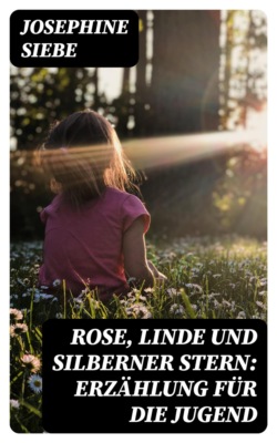 Rose, Linde und Silberner Stern: Erzählung für die Jugend