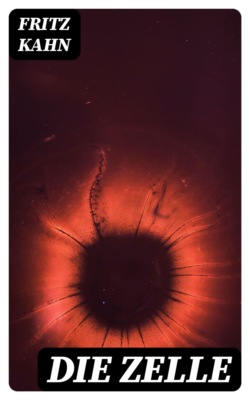 Die Zelle