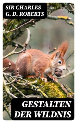 Gestalten der Wildnis