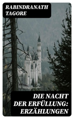 Die Nacht der Erfüllung: Erzählungen
