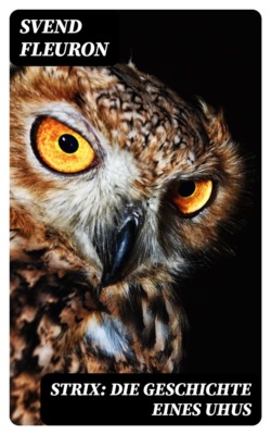 Strix: Die Geschichte eines Uhus