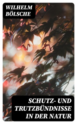 Schutz- und Trutzbündnisse in der Natur
