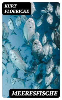 Meeresfische