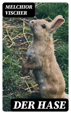 Der Hase
