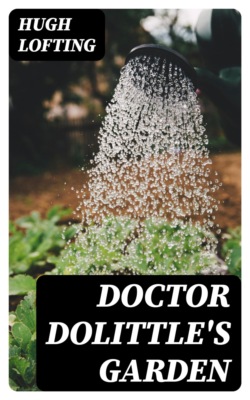 Doctor Dolittle's Garden
