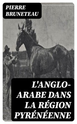 L'Anglo-Arabe dans la région pyrénéenne