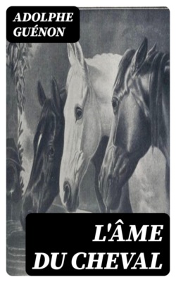 L'âme du cheval