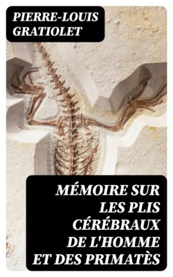 Mémoire sur les plis cérébraux de l'homme et des primatès