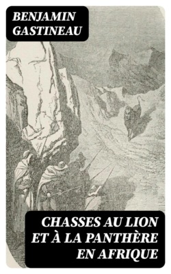 Chasses au lion et à la panthère en Afrique