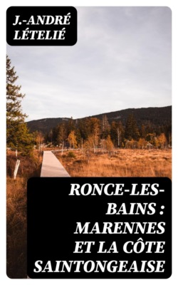 Ronce-les-Bains : Marennes et la côte saintongeaise
