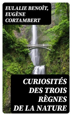 Curiosités des trois règnes de la nature