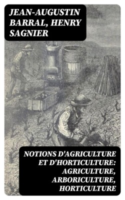 Notions d'agriculture et d'horticulture: agriculture, arboriculture, horticulture