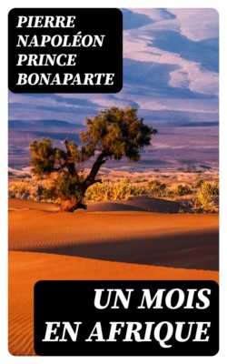 Un mois en Afrique