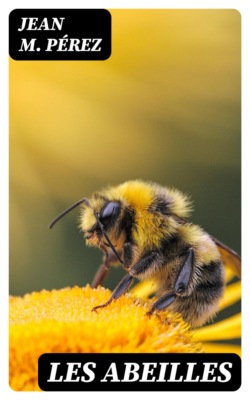Les abeilles