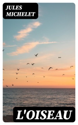 L'oiseau