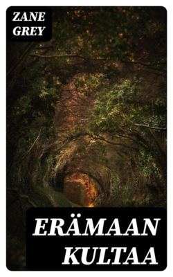 Erämaan kultaa