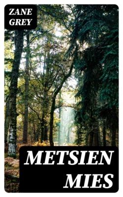 Metsien mies