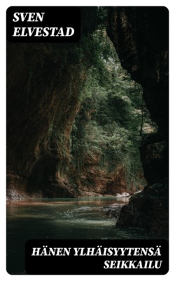 Hänen ylhäisyytensä seikkailu