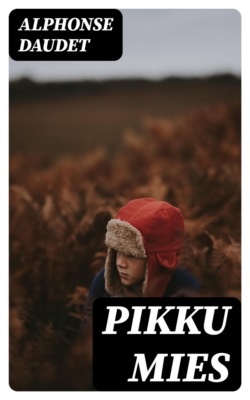 Pikku mies