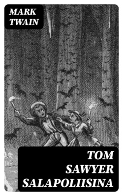 Tom Sawyer salapoliisina