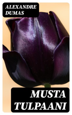 Musta tulpaani