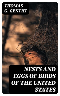 Nests and Eggs of Birds of the United States