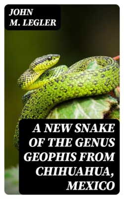 A New Snake of the Genus Geophis From Chihuahua, Mexico
