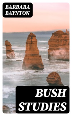 Bush Studies