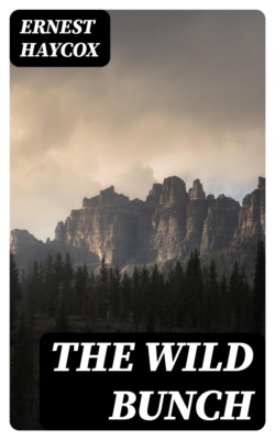 The Wild Bunch