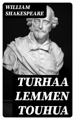Turhaa lemmen touhua