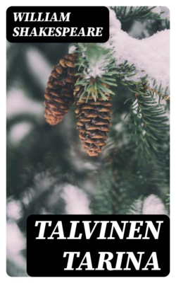 Talvinen tarina