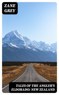 Tales of the Angler's Eldorado: New Zealand