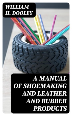 A Manual of Shoemaking and Leather and Rubber Products