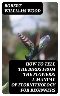 How to Tell the Birds from the Flowers: A Manual of Flornithology for Beginners