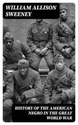 History of the American Negro in the Great World War