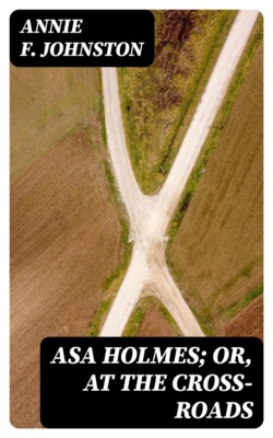 Asa Holmes; or, At the Cross-Roads