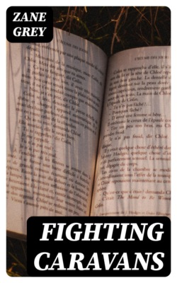Fighting Caravans