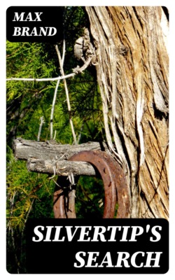 Silvertip's Search