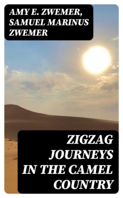 Zigzag Journeys in the Camel Country