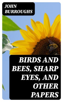 Birds and Bees, Sharp Eyes, and Other Papers