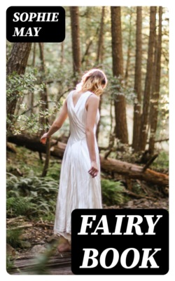 Fairy Book