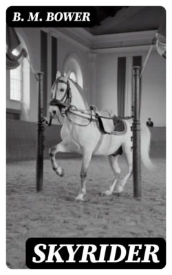 Skyrider